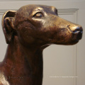 Statues populaires de chien de lévrier de bronze de conception avec 17 ans de fonderie